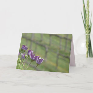 Lila Blumen und Weintrauben, unbedruckt im Inneren Karte