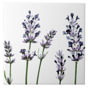 Lila BlumenBlumen des Lavendel-  Pastell Fliese
