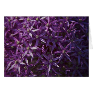 Lila Blumenblüten-leere Karte