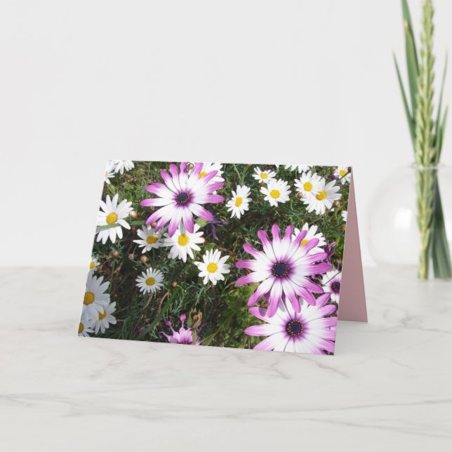 Lila Blumengarten "White Daisy Flower Garden" Dank Karte (Vorderseite)