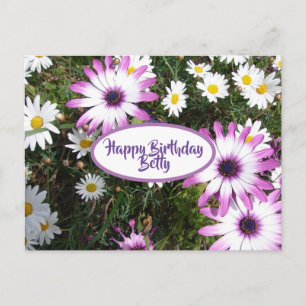 Lila Blumengarten "White Daisy Flower Garden" zum Postkarte