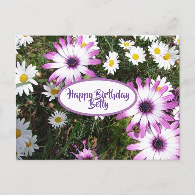Lila Blumengarten "White Daisy Flower Garden" zum  Postkarte (Vorderseite)