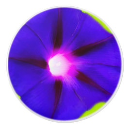 Lila Blumenknöpfe Keramikknauf