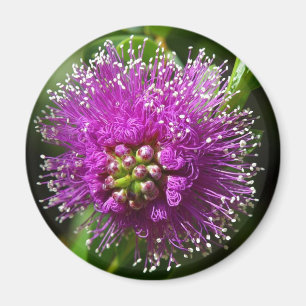 lila Blumenmagnet Magnet