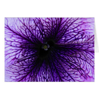 Lila Blumenmakrophotographie