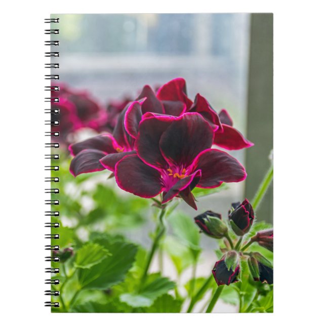 Lila Blumennotizbuch Notizblock (Vorderseite)