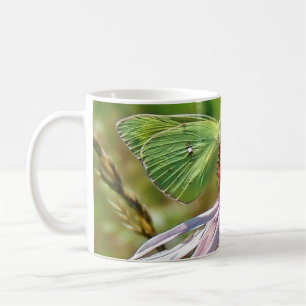 Lila Blüte Kaffeetasse