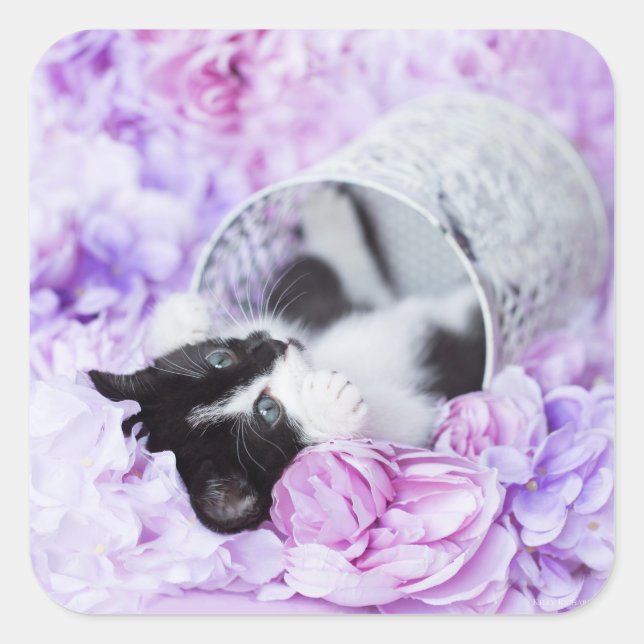 Lila Blüte "Pippa" Quadratischer Aufkleber (Vorderseite)