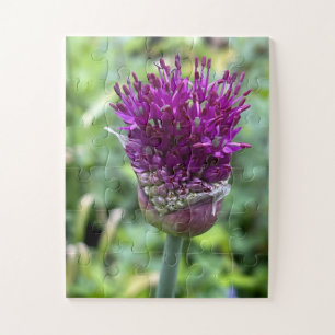 Lila Blütenpracht der Erinnerung Allium-Blume Bo Puzzle