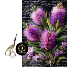 Lila Bottlebrush-Blume