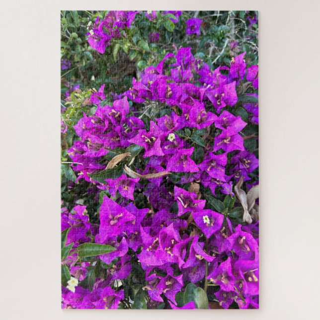 Lila Bougainvillea, Oakland  Puzzle (Vertikal)