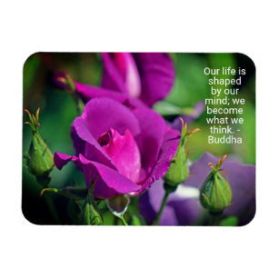 Lila Budgetierung Rose Motivierend Kostenvoranschl Magnet