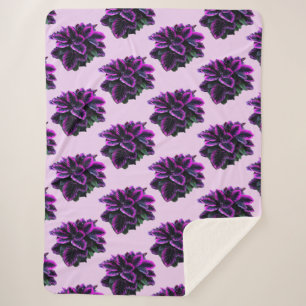 LILA CALATHEA SHERPADECKE