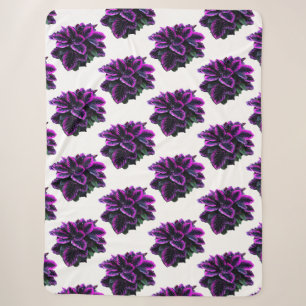 LILA CALATHEA SHERPADECKE