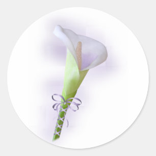 Lila Calla Lily Runder Aufkleber