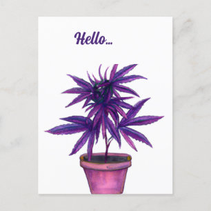 Lila Cannabis Postkarte
