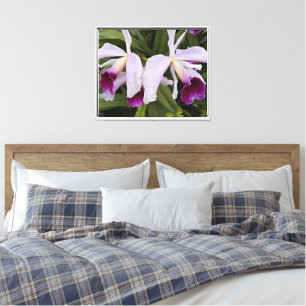 Lila Cattleya Orchias Floral Leinwanddruck