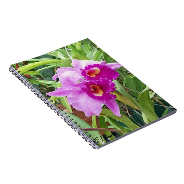 Lila Cattleya Orchids Notizblock (Rechte Seite)