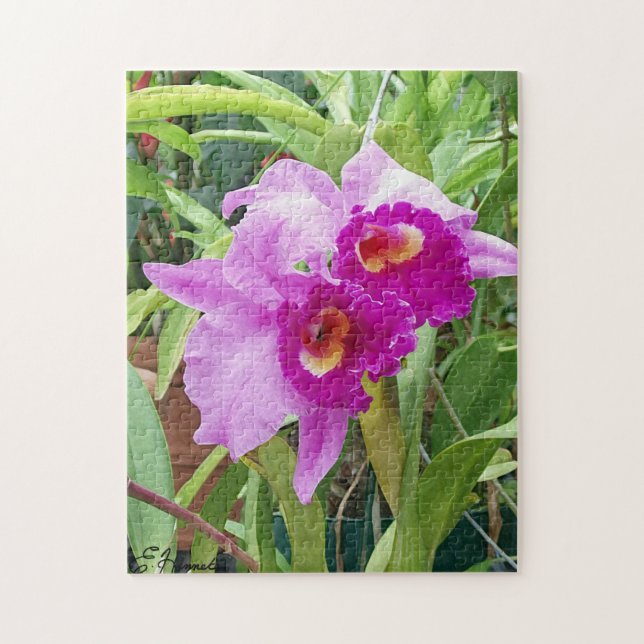 Lila Cattleya Orchids Puzzle (Vertikal)