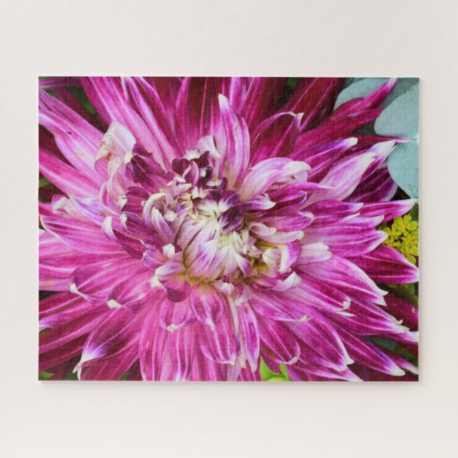 Lila Chrysanthemum - Blume 16x20 Puzzle (Horizontal)