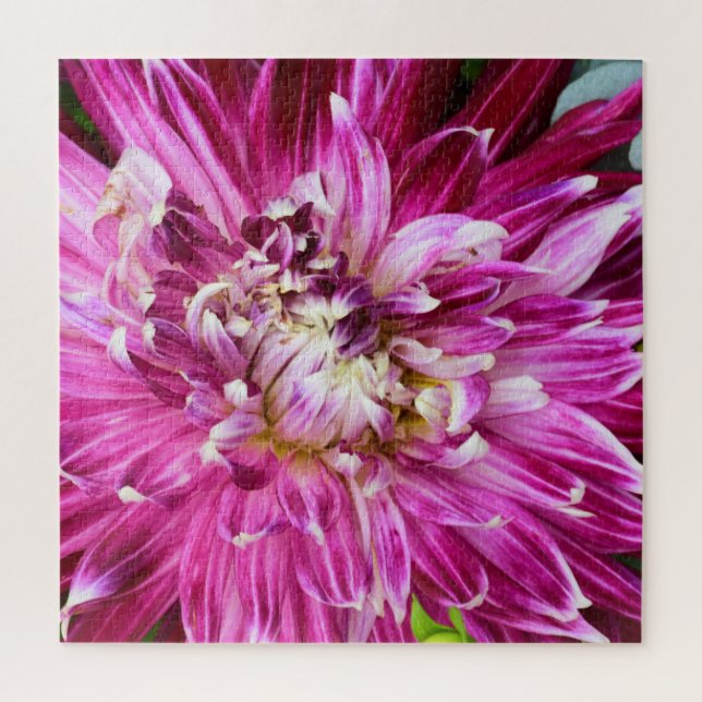 Lila Chrysanthemum - Blume 20x20 Puzzle (Vertikal)