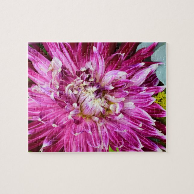 Lila Chrysanthemum - Blume Puzzle (Horizontal)
