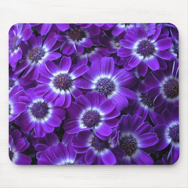 Lila Cineraria Mousepad (Vorne)