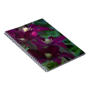 Lila Clematin-Notebook Notizblock