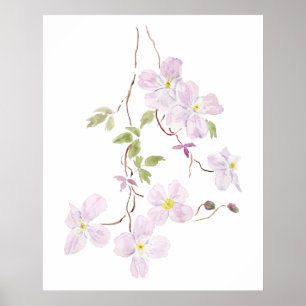 lila Clematis Aquarell Poster