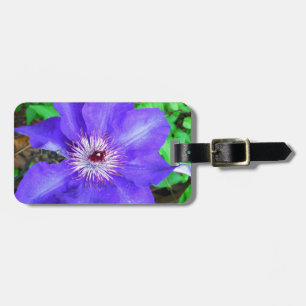 Lila Clematis-Blume Gepäckanhänger