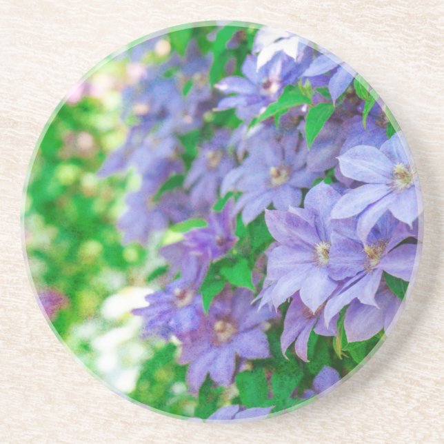 Lila Clematis-Blume Getränkeuntersetzer (Vorne)