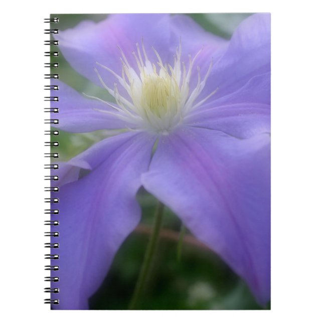 Lila Clematis Blume Natur Notizblock (Vorderseite)
