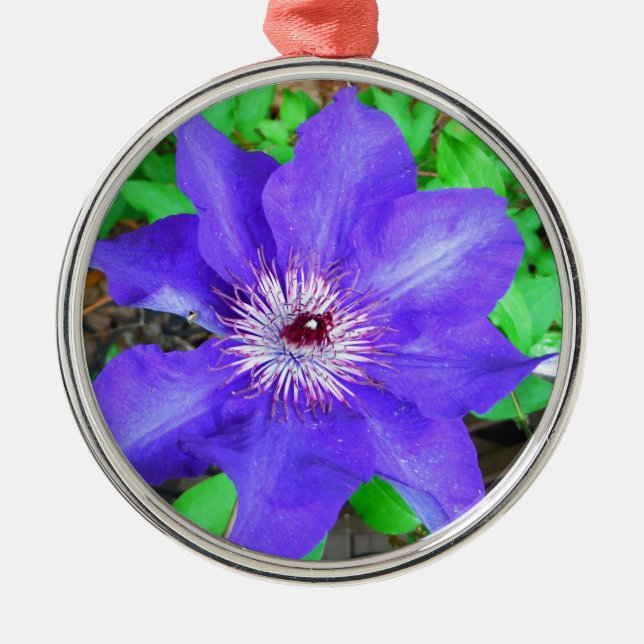 Lila Clematis-Blume Ornament Aus Metall (Vorne)