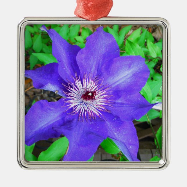 Lila Clematis-Blume Ornament Aus Metall (Vorne)
