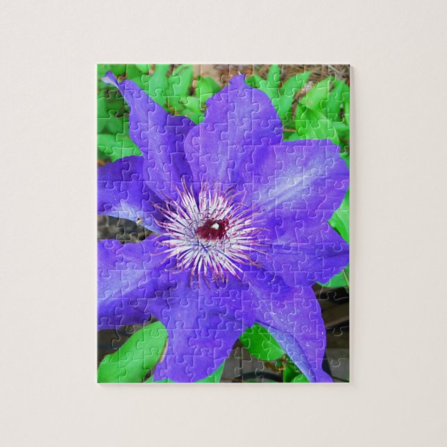 Lila Clematis-Blume Puzzle (Vertikal)