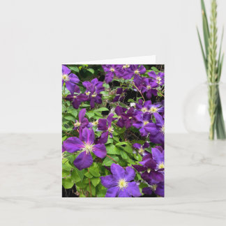 Lila Clematis Blume und Blätter Fotografie Karte