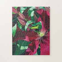 Lila Clematis Floral