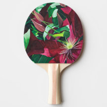 Lila Clematis Floral