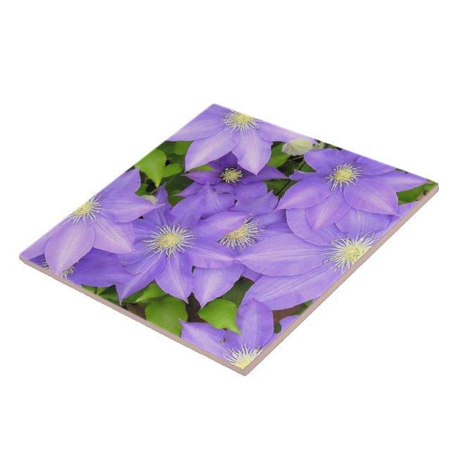 LILA CLEMATIS (FOTOG) GROSSE KERAMIK TILE/TRIVET FLIESE (Seite)