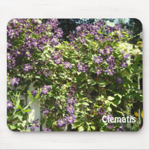 Lila Clematis Garden Mousepad