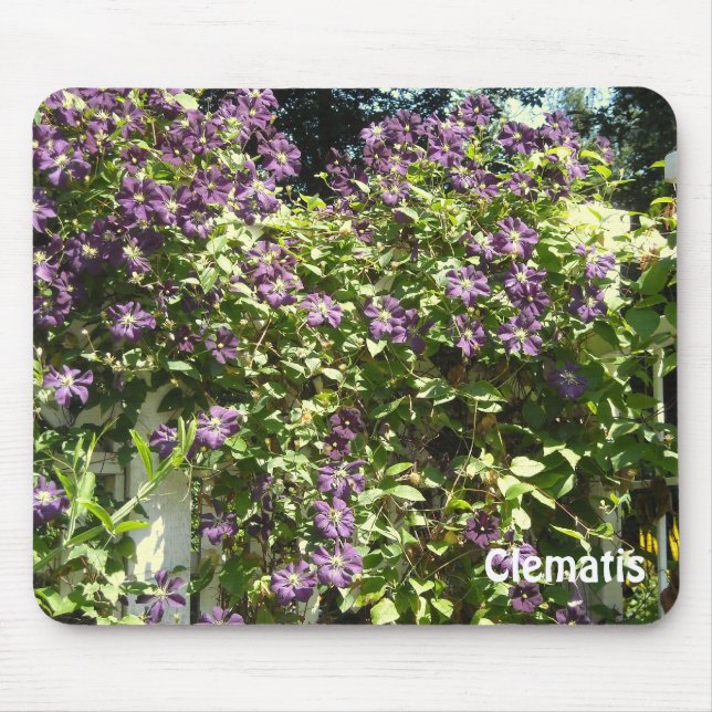 Lila Clematis Garden Mousepad (Vorne)