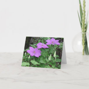 lila Clematis Karte