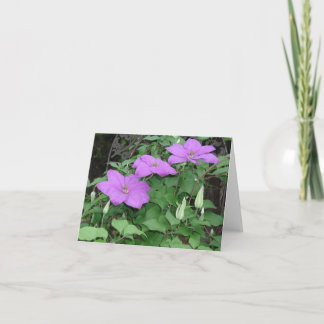 lila Clematis Karte