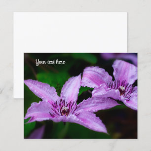 Lila Clematis Postkarte