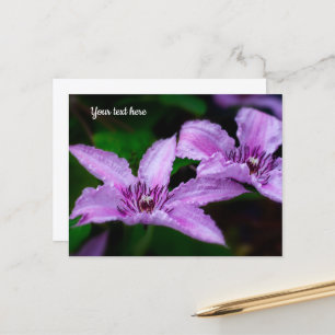 Lila Clematis-Postkarte Postkarte