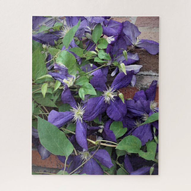 Lila Clematis Puzzle (Vertikal)