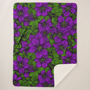Lila Clematiweine Sherpadecke