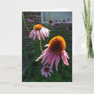 Lila Coneflower, Glaube, Hoffnung und Liebe Karte