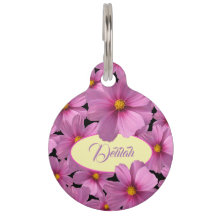 Lila Cosmos-Blume-Design auf schwarzem Hintergrund