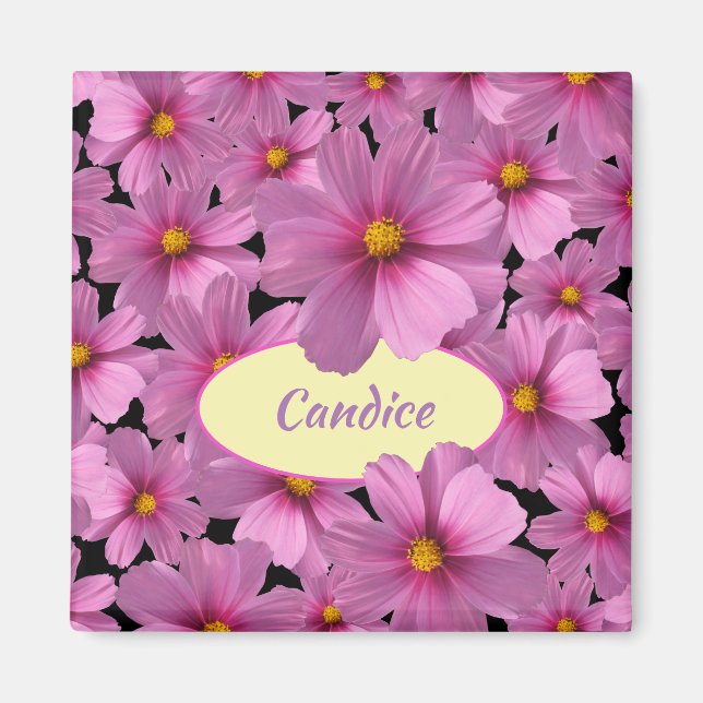 Lila Cosmos-Blume-Design auf schwarzem Hintergrund Magnet (Vorne)